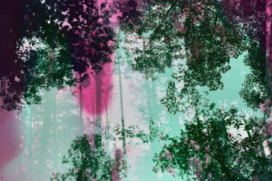 POESIA ETA IRUDIA: "ESATEKO IDATZI"