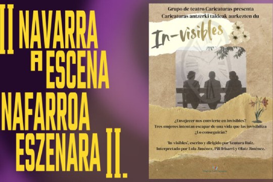 Navarra a Escena 2026: "IN-VISIBLES"