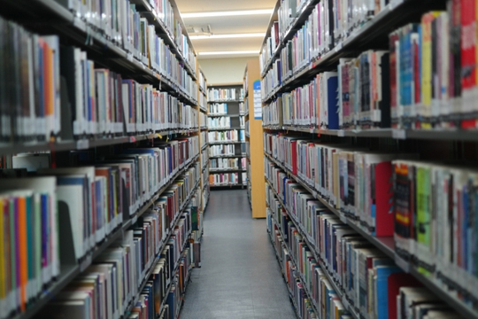 Cursos de Verano de EHU 2026: "Genealog&iacute;as feministas desde el archivo: investigaci&oacute;n, memoria y reescritura del canon"