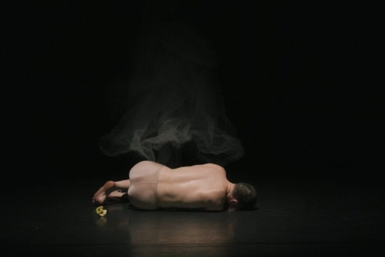ACT Festival 2026: "Adam’s apple" + "HOW TO_just another Boléro" ACT Festival 2026: "Adam’s apple" + "HOW TO_just another Boléro"