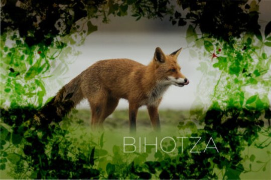 "Bihotza, Arabako bizitza, inoiz ikusi ez duzun bezala" "Bihotza, Arabako bizitza, inoiz ikusi ez duzun bezala"