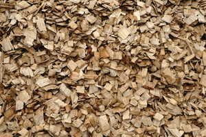 Jornada sobre biomasa forestal