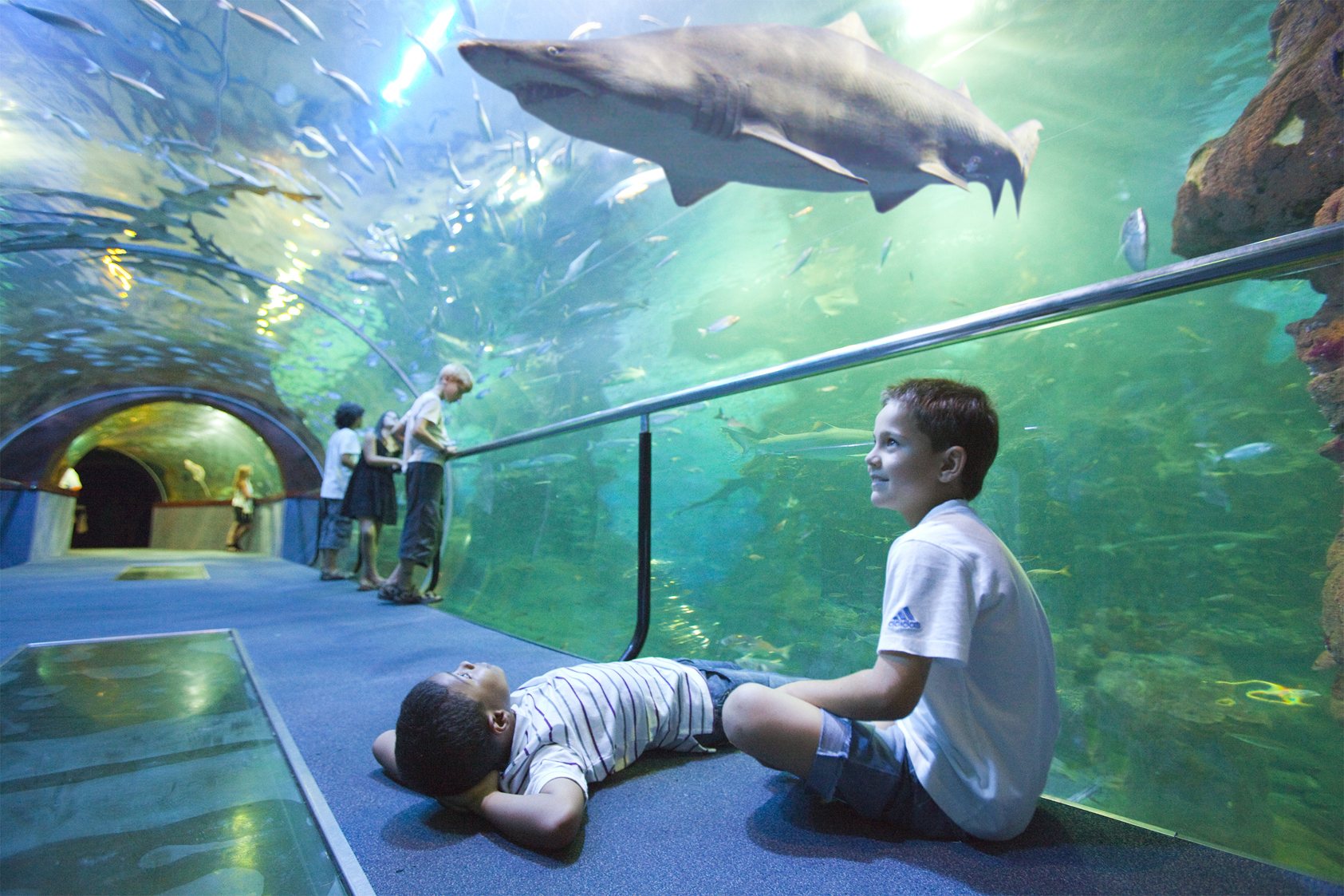 Donostiako Aquariuma