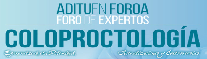 Foro de Expertos en Coloproctolog�a. Actualizaciones y controversias