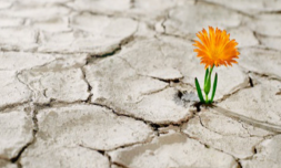 Entre el enigma y el estigma: una mirada a la realidad del suicidio