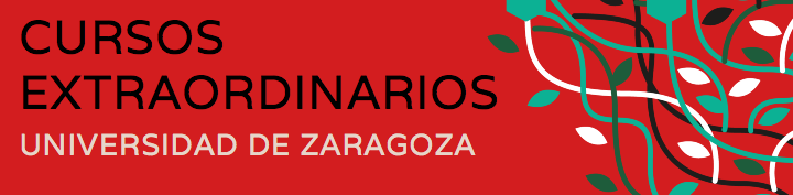 Cursos de verano. Universidad de Zaragoza