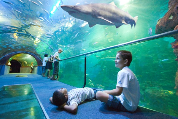 Donostiako Aquariuma