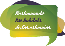 
							     Restaurando los h�bitats de los estuarios
						     