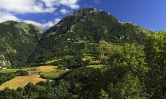 Parque Natural de Aralar