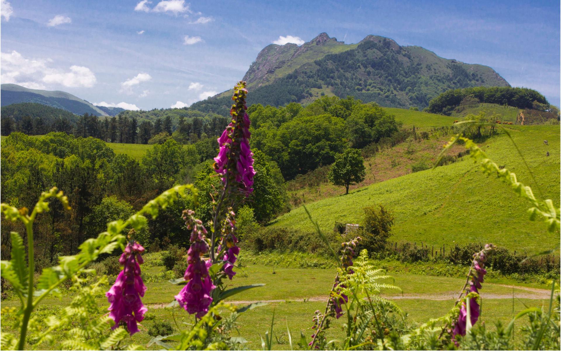Parque Natural Aiako Harria