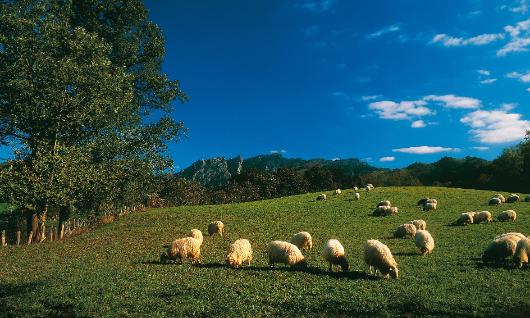 Parque Natural Aiako Harria