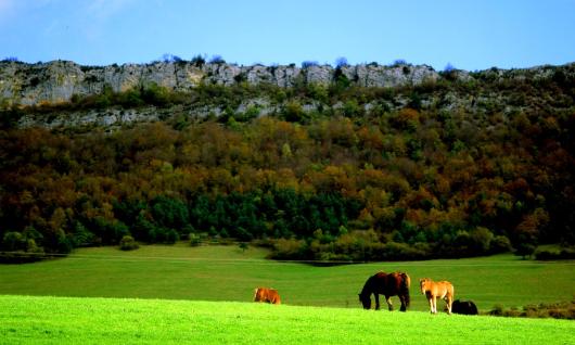 Parque Natural de Valderejo