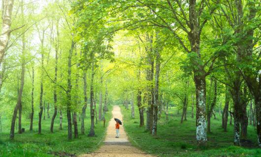 Parc Naturel d'Urkiola