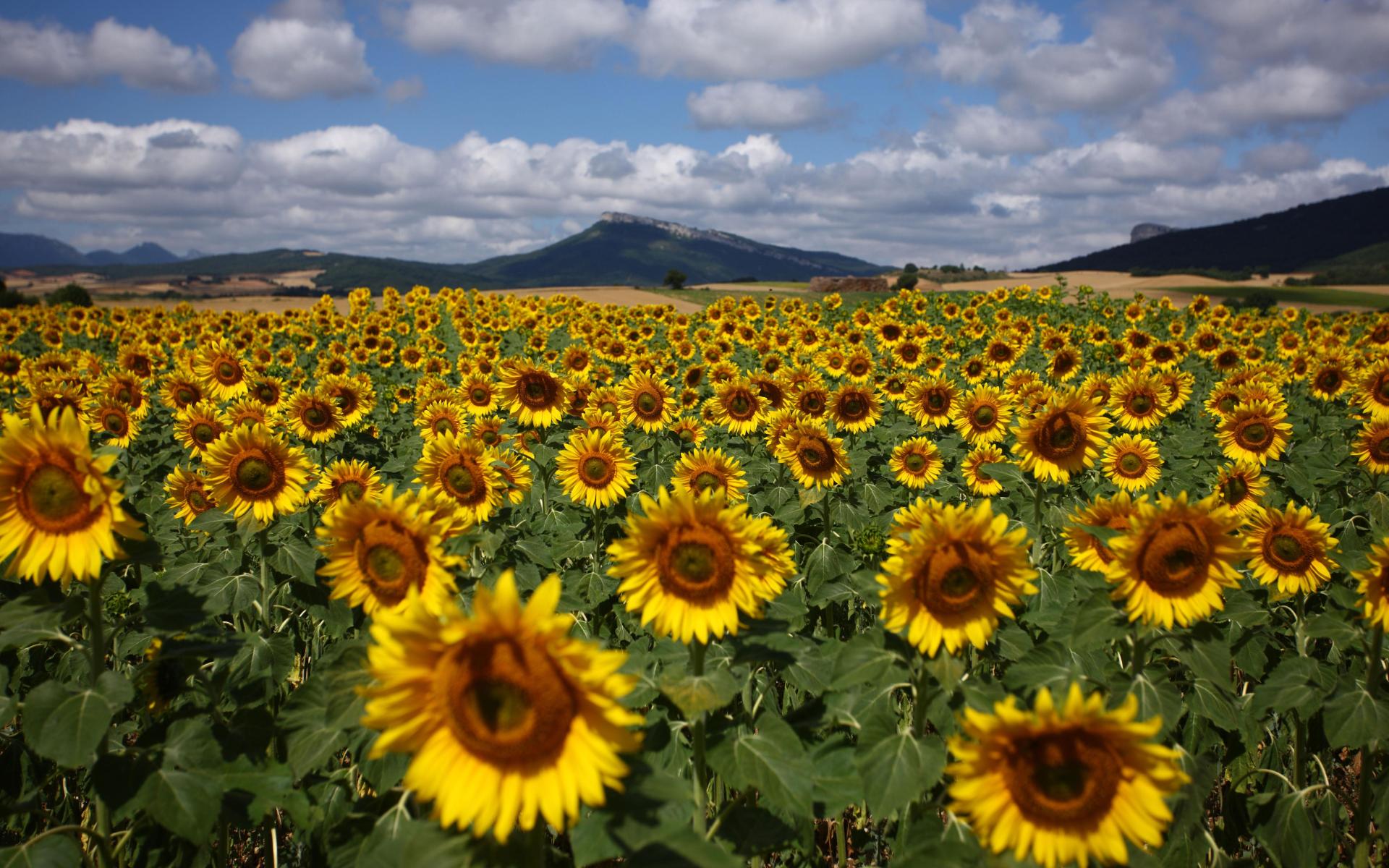Parque Natural de Izki 