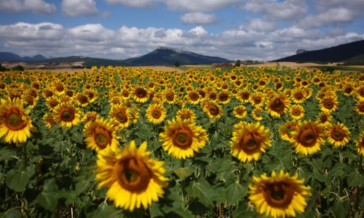 Parque Natural de Izki 