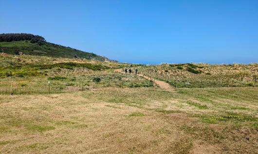 La Arena Beach