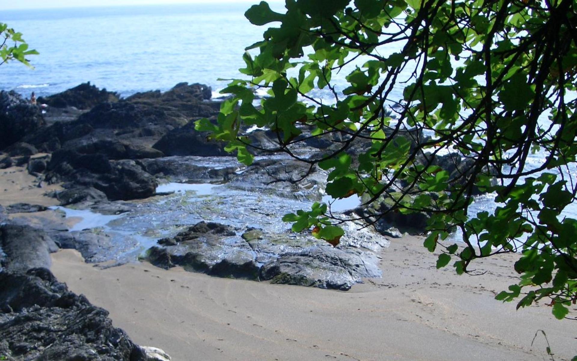 Playa de Hondartzape