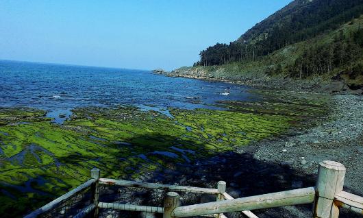 Strand Ogeia