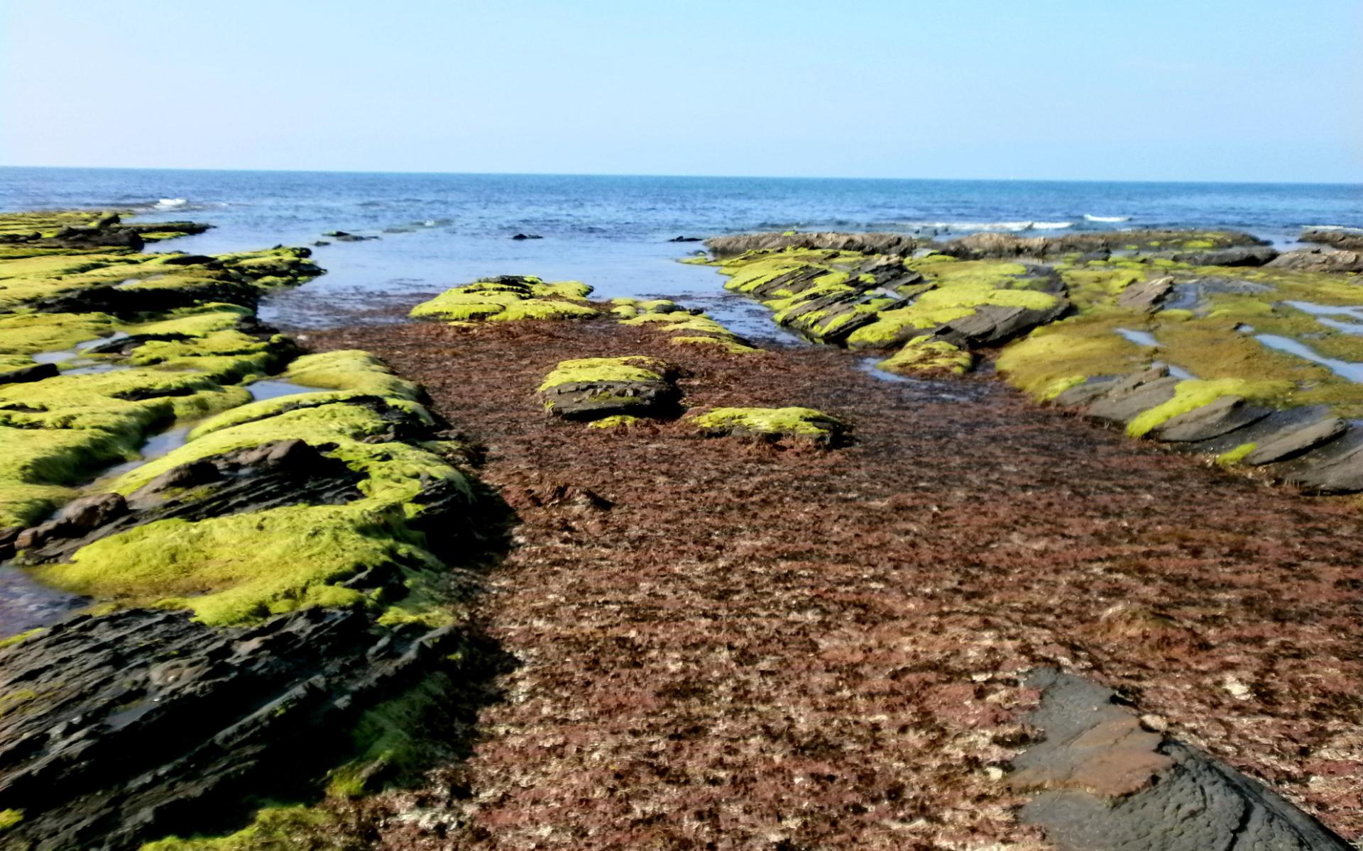 Plage d'Ogeia