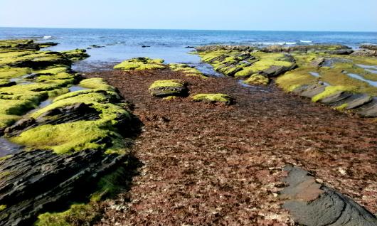 Plage d'Ogeia