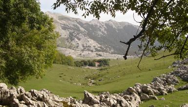 The meadows of Urbia