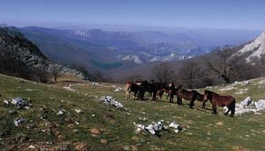 Aizkorri-Aratz Natural Park