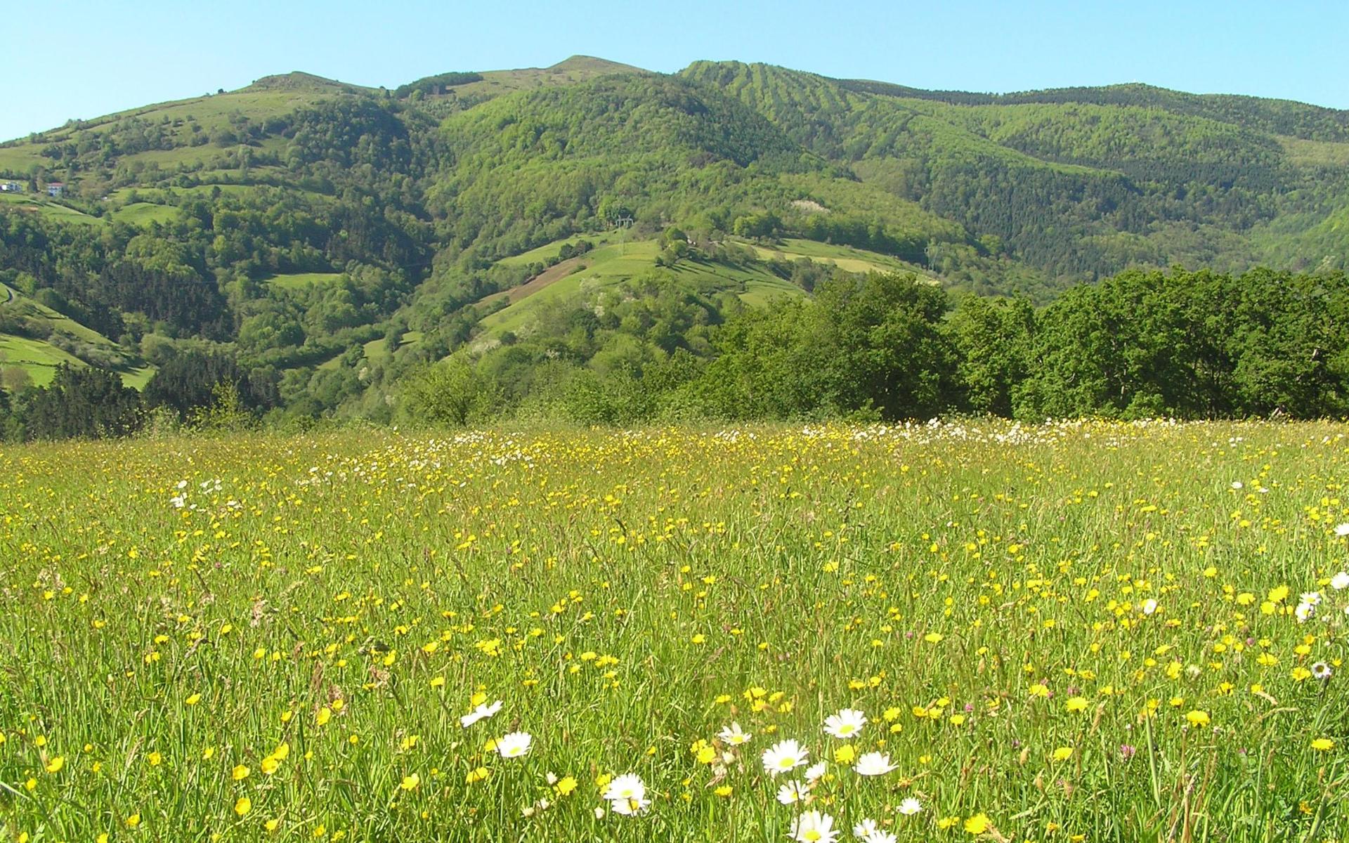 Pagoetako Parke Naturala