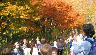 Ingurumen-hezkuntza bultzatzen dute Pagoetan