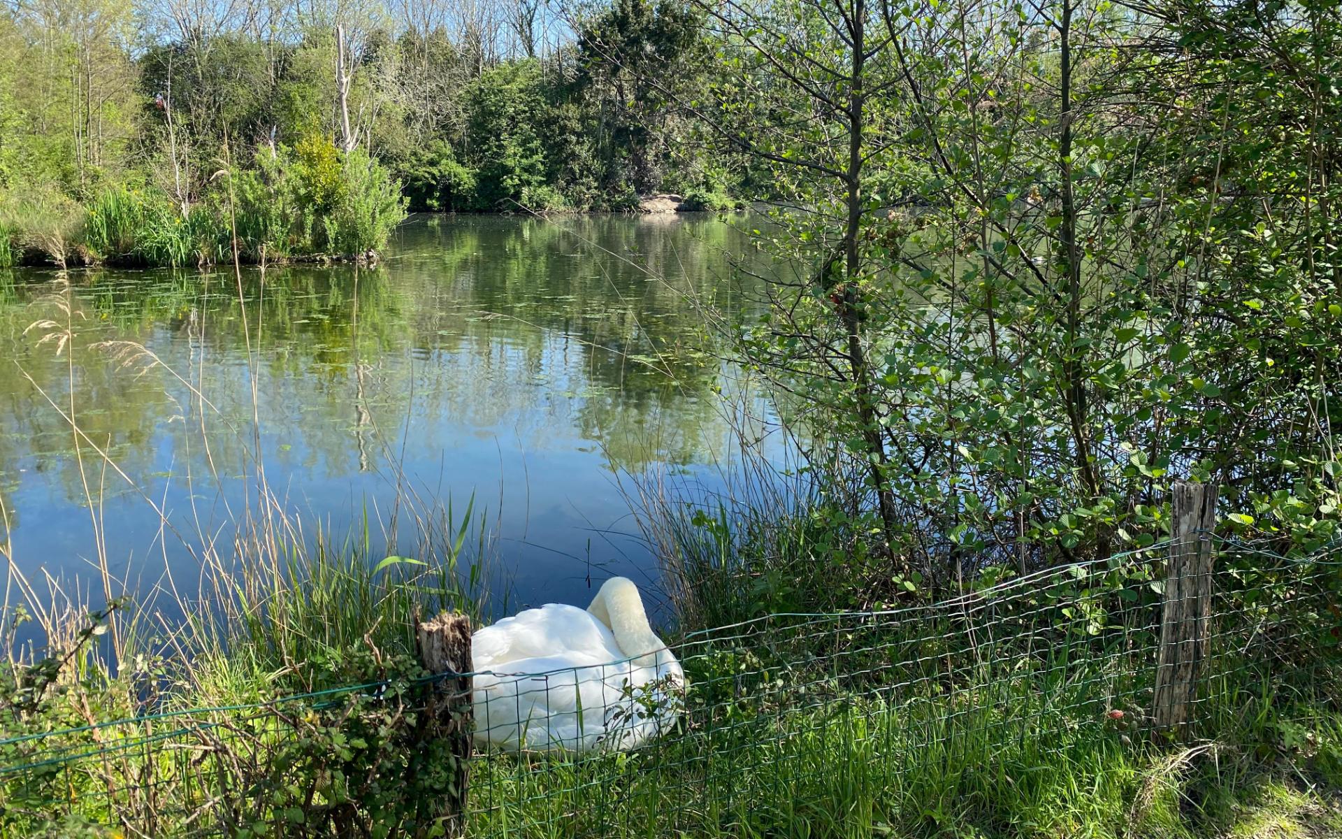 Parque Ecol�gico de Plaiaundi