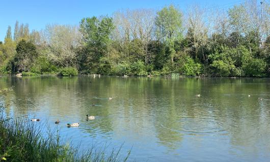 Parque Ecol�gico de Plaiaundi