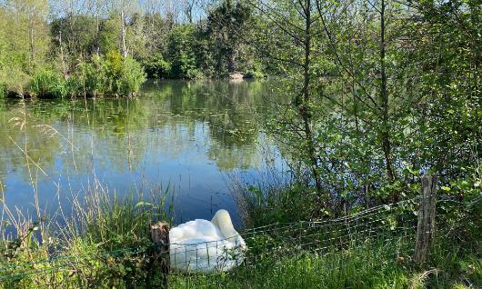 Parque Ecol�gico de Plaiaundi