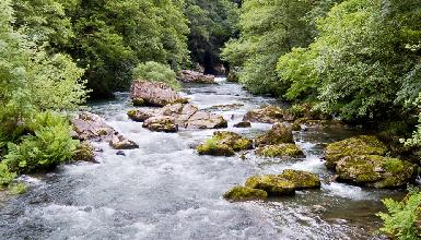 Biotopo Protegido de Leitzaran