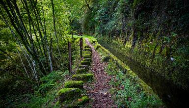 Biotopo Protegido de Leitzaran