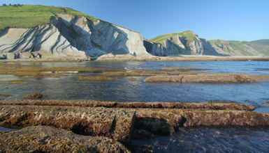 Acantilados del Flysch