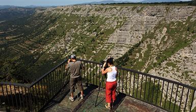 Gorobel edo "Salvada mendilerroa"