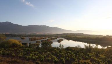 Lagunas de Laguardia