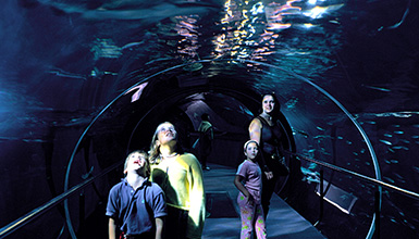 Aquarium-Palacio del Mar