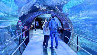 Aquarium de San Sebasti�n