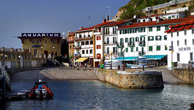 Aquarium-Itsas Jauregia