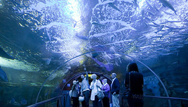 L�Aquarium de Donostia-San Sebasti�n
