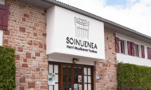 Soinuenea