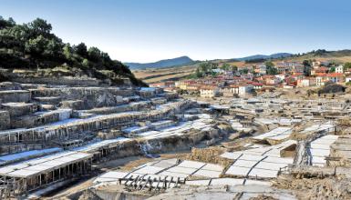Valle Salado de Salinas de A�ana