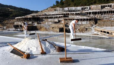 Valle Salado de Salinas de A�ana