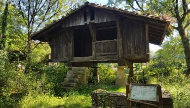 H�rreo de Ertzilla