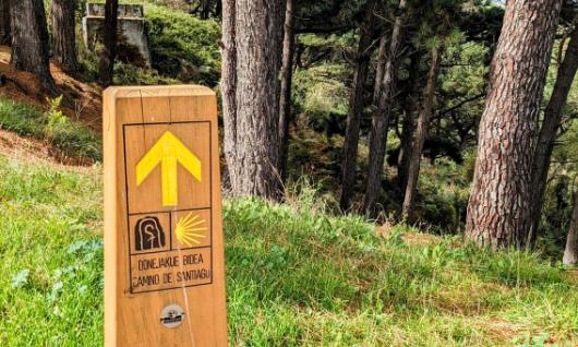 Conjunto Hist�rico Art�stico El Camino de Santiago