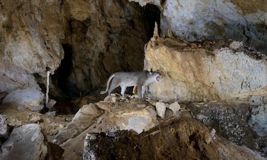Caves of Arrikrutz