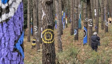 New Oma Forest