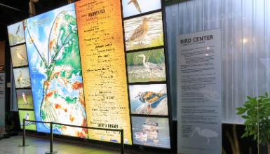 Urdaibai Bird Center