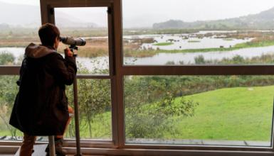 Urdaibai Bird Center