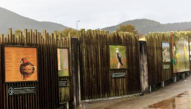Urdaibai Bird Center